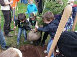 Baum des Jahres gepflanzt (Foto: Karl-Heinz Herrmann) Baum des Jahres gepflanzt (Foto: Karl-Heinz Herrmann)