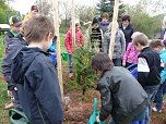 Baum des Jahres gepflanzt (Foto: Karl-Heinz Herrmann) Baum des Jahres gepflanzt (Foto: Karl-Heinz Herrmann)
