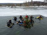 Im Eis versunken (Foto: Karl-Heinz Herrmann)