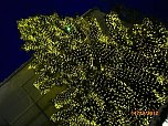 Weihnachtsmarkt in Goslar (Foto: J. Kleemann)