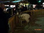 Weihnachtsmarkt in Goslar (Foto: J. Kleemann)