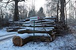 Kahlschlag im Gehege? (Foto: nnz)