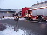 Grillh&auml;hnchen in Gefahr (Foto: nnz)