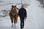 Reiten als Therapie (Foto: Michael Caspari (blitzlicht-nordhausen.de))