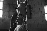 Reiten als Therapie (Foto: Michael Caspari (blitzlicht-nordhausen.de))