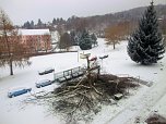 Baumfällungen im Borntal (Foto: Steffen Kny) Baumfällungen im Borntal (Foto: Steffen Kny)