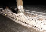 Verfolgungsjagd im S&uuml;dharz (Foto: Polizei)