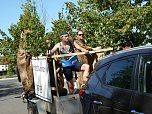 Kirmesumzug (Foto: Ilka K&uuml;hn)