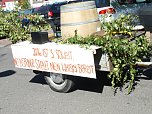 Kirmesumzug (Foto: Ilka K&uuml;hn)