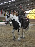 Zu sehen in Wollersleben (Foto: privat)