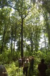 Waldschadenserhebung (Foto: Hans-Jürgen Schmidt) Waldschadenserhebung (Foto: Hans-Jürgen Schmidt)