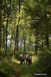 Waldschadenserhebung (Foto: Hans-Jürgen Schmidt) Waldschadenserhebung (Foto: Hans-Jürgen Schmidt)