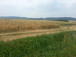 Das Sommerloch? (Foto: H. Michel)