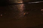 Unwetter in Nordhausen (Foto: P. Blei)