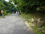 Baum umgest&uuml;rtzt (Foto: BFW)