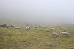 Ein fast vergessenes Land (Foto: Ellengard Gutscher)