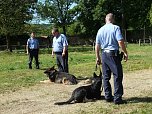 Polizeivorf&uuml;hrungen im Zeltlager der Johanniter (Foto: Ilka K&uuml;hn)