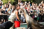 Stuttgart und der Stuttgarter Zoo (Foto: Michael Caspari ( www.blitzlicht-nordhausen.de ))