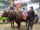 Tiere zum Anfassen (Foto: privat) Tiere zum Anfassen (Foto: privat)