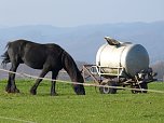 Wanderung zur Ebersburg (Foto: Werner Kaiser)