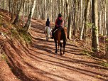 Wanderung zur Ebersburg (Foto: Werner Kaiser)