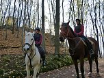Wanderung zur Ebersburg (Foto: Werner Kaiser)