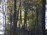 Wanderung zur Ebersburg (Foto: Werner Kaiser)