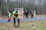 Neuanpflanzung (Foto: nnz) Neuanpflanzung (Foto: nnz)