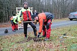 Eichen pflanzen (Foto: nnz) Eichen pflanzen (Foto: nnz)