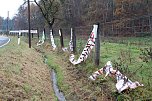 Abgerissen (Foto: T. Kerwitz)