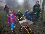 Im Winterwald ohne Schnee (Foto: Kindervilla Bad Frankenhausen)