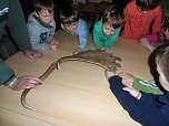 Im Winterwald ohne Schnee (Foto: Kindervilla Bad Frankenhausen)