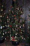 Weihnachtsmarkt in Sangerhausen (Foto: Karin Lehmann, Peter Blei)
