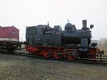 Lok-Luft geschnuppert (Foto: Karin Lehmann)