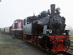 Lok-Luft geschnuppert (Foto: Karin Lehmann)