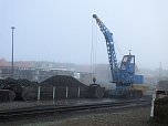 Lok-Luft geschnuppert (Foto: Karin Lehmann)