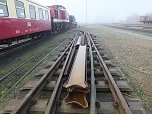 Lok-Luft geschnuppert (Foto: Karin Lehmann)