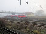 Lok-Luft geschnuppert (Foto: Karin Lehmann)