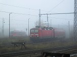 Lok-Luft geschnuppert (Foto: Karin Lehmann)