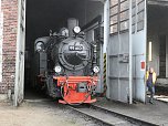 Lok-Luft geschnuppert (Foto: Karin Lehmann)