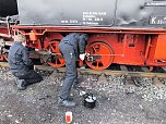 Lok-Luft geschnuppert (Foto: Karin Lehmann)