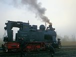 Lok-Luft geschnuppert (Foto: Karin Lehmann)