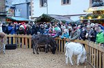 Weihnachtsmarkt Goslar (Foto: nnz-City Scout Sven G&auml;mkow)