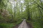 Der Alte Stolberg (Foto: BUND Nordhausen)