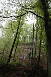 Der Alte Stolberg (Foto: BUND Nordhausen)