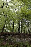 Der Alte Stolberg (Foto: BUND Nordhausen)