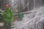 Die Doppelk&ouml;rner unterwegs (Foto: A. Richter)