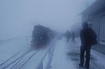 Die Doppelk&ouml;rner unterwegs (Foto: A. Richter)
