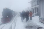 Die Doppelk&ouml;rner unterwegs (Foto: A. Richter)