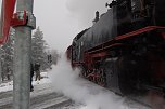 Die Doppelk&ouml;rner unterwegs (Foto: A. Richter)